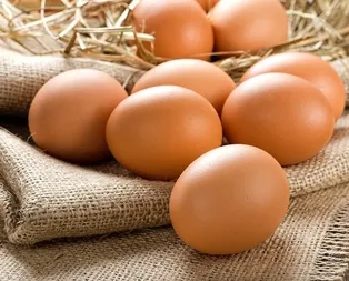 Dünya Türk yumurtası tüketiyor