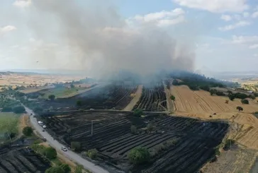 Balıkesir Altıeylül'deki orman yangını kontrol altına alındı