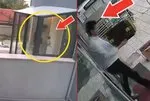 Sahiplendiği köpekleri parçalayıp öldürdüğü iddia edilmişti! O doktorun yeni görüntüsü çıktı! Savunması kan dondurdu