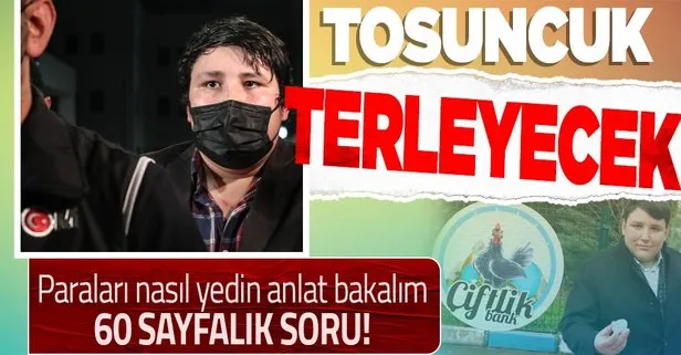 Çiftlik Bank dolandırıcısı ’Tosuncuk’ lakaplı Mehmet Aydın’a 60 sayfa soru! İfade vermeye başladı...