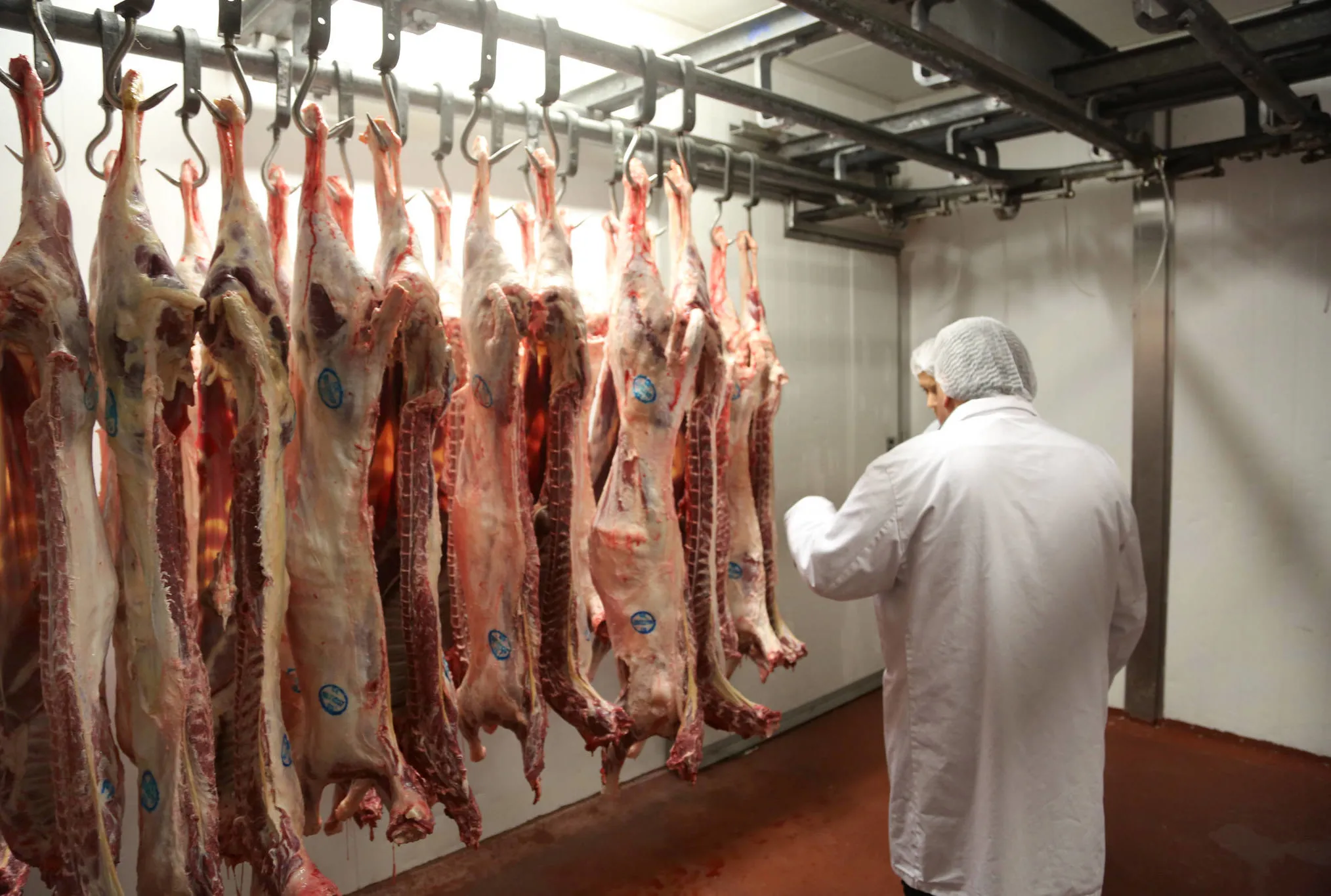 Et fiyatları mercek altında!