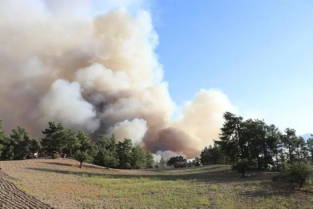 Son dakika: Denizli-Muğla sınırında orman yangını-4