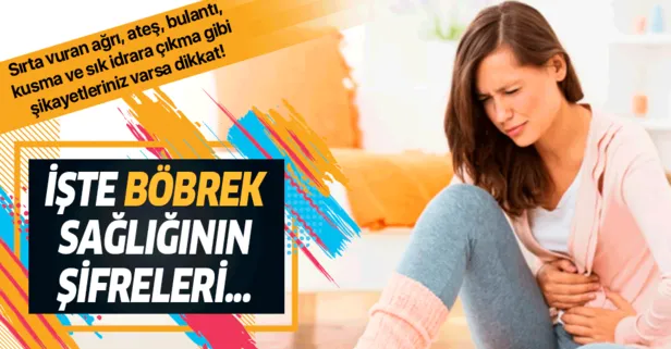 Böbrek iltihabına bal gibi çözüm! Enfeksiyon oluşmasını önlüyor...