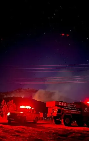 Tunceli'de Munzur Vadisi Milli Parkı sınırları içerisinde orman yangını çıktı!