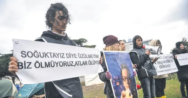 Hayvanseverlerin fayton protestosu Saraçhane Parkı'nda devam ediyor