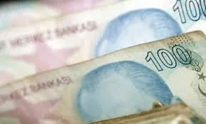 En az yüzde 50 oranında olması isteniyor! Evde çalışana her ay 1.544 TL maaş veriliyor! Gelir şartı ise...-2