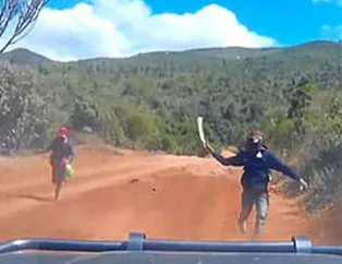 Palalı grup dehşet saçtı