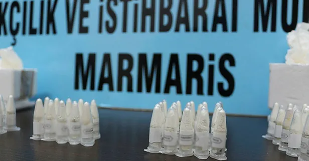 Muğla'da kargo paketinde küçük cam tüplerde 76 yavru tarantula ele geçirildi