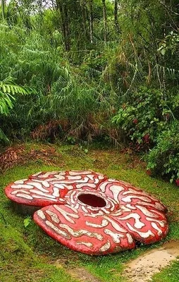 Dünyanın en korkunç bitkileri