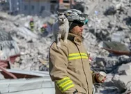 Kahramanmaraş merkezli depremde göçük altından çıkarılan kedinin adı Enkaz oldu