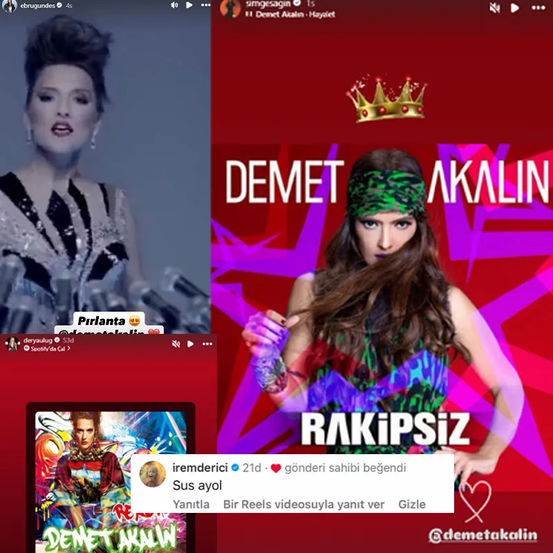 Demet Akalın'a ünlü isimlerden destek - 8