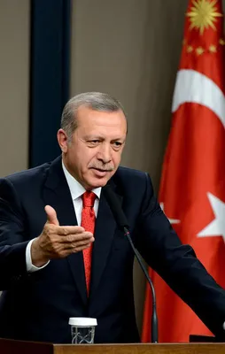 Cumhurbaşkanı Erdoğan'dan Zerrin Güngör'e tebrik!