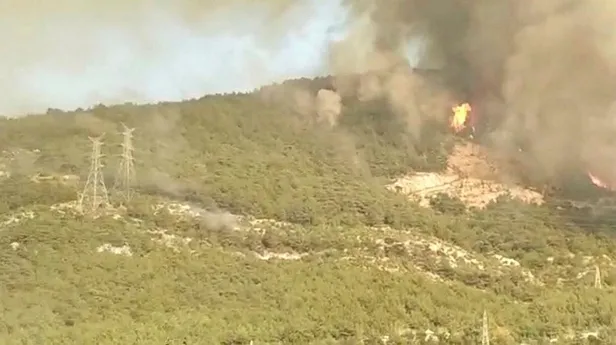 SON DAKİKA: Hatay'daki yangının 'kundaklama' sonucu çıktığını iddia eden kadın: Sözlerimin arkasındayım-4