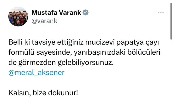 Son dakika: Sanayi ve Teknoloji Bakanı Mustafa Varank'tan İYİ Parti Genel Başkanı Meral Akşener'e "papatya çayı" tepkisi!-4