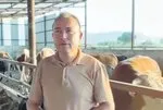 Beslediği danasının kurbanı oldu! Fotoğraf sevdası ölümle sonuçlandı