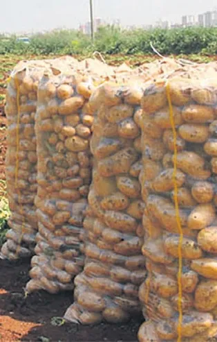 Hasat gecikince fırsatçılar ortaya çıktı: Soğan ve patateste aynı oyun sahnede!