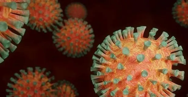 Son dakika: Dünya genelinde koronavirüs vaka sayısı 81 milyonu aştı!