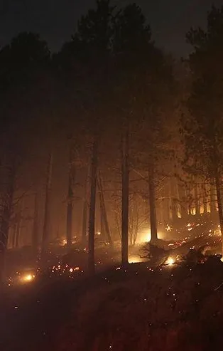 Son dakika: Çanakkale'de çıkan orman yangını ekipler tarafından kontrol altına alınmaya çalışılıyor