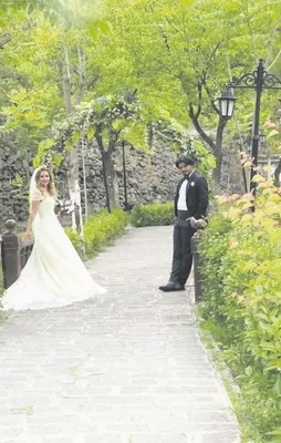 Halayına cevap
