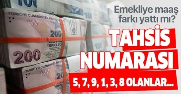 Emekli maaş farkı tahsis numarası 5,7,9,1,3,8 olanlar için açıklama yapıldı