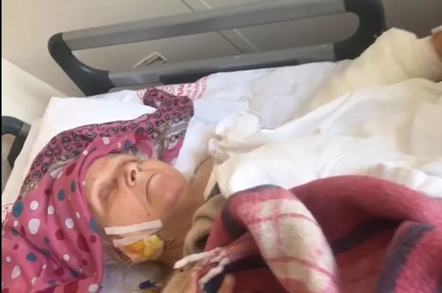 Tasmasız pitbull yaşlı kadının hayatını kararttı: Bacağı kesilebilir