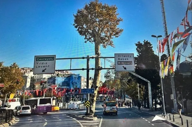CHP'li İBB Beşiktaş'taki 150 yıllık anıt çınarı sessiz sedasız ortadan kaldırdı