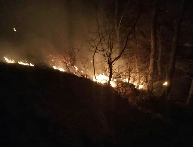 osmaniye-duzicinde-orman-yangini-alevler-yukseldi-1648849531696.jpeg Osmaniye Düziçi'nde orman yangını! Alevler yükseldi-1