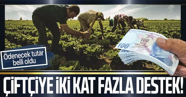 Gübre desteği kararı Resmi Gazete’de! Çiftçilere buğday arpa çavdar yulaf yaş çay fındık gübre desteği ne kadar oldu?
