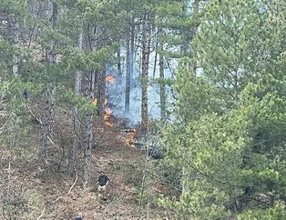 Bursa’da orman yangını