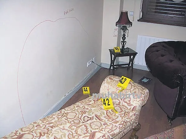 Münevver Karabulut'un katili Cem Garipoğlu'nun kız kardeşi S. Garipoğlu'ndan tepki çeken paylaşım-2