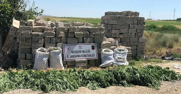 Son dakika: Nevşehir’de uyuşturucu operasyonu: 12 kilogram esrar ele geçirildi