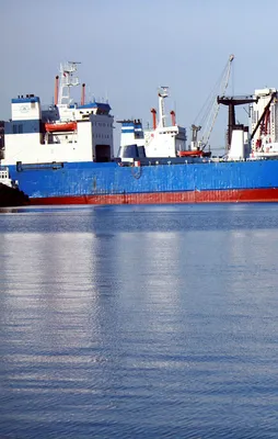 Limanlarda FETÖ ve DEAŞ alarmı