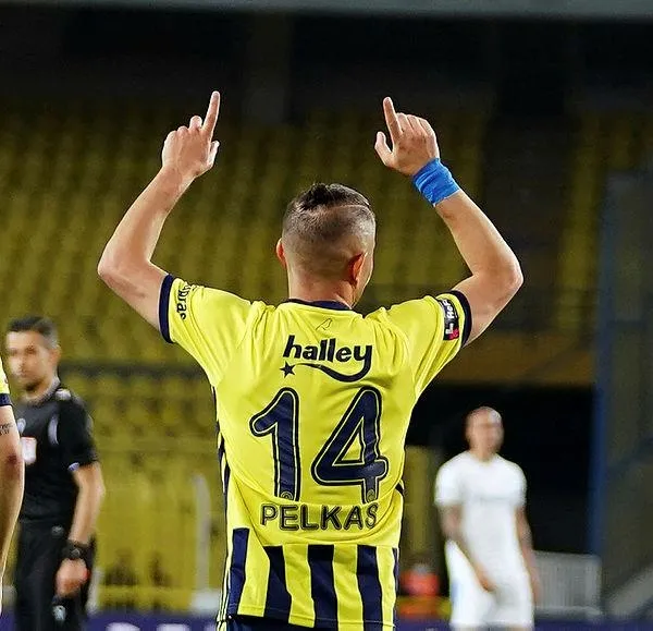 Fenerbahçe evinde Erzurumspor engelini çok rahat aştı-8