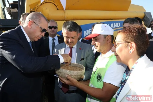 Başkan Erdoğan biçerdöverde buğday hasatı yaptı - 8