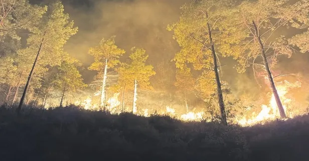Orman yangınlarıyla canhıraş mücadele sürüyor! 218 ev tahliye edildi