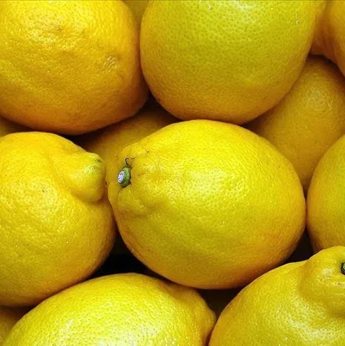 Tatlı limon