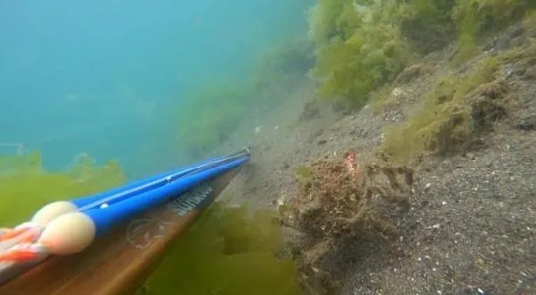 Müsilajın deniz altındaki tahribatı görüntülendi: Seviniyorduk ama felaketin habercisiymiş!-3