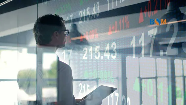 Hedef Holding halka arz hangi bankalar? Hedef Holding borsada ne zaman işlem görecek? Hisse kodu, fiyatı ne kadar?-4