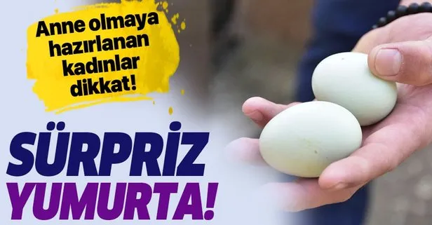 Iste Hamile Kalma Sansini Artiran Besinler Takvim