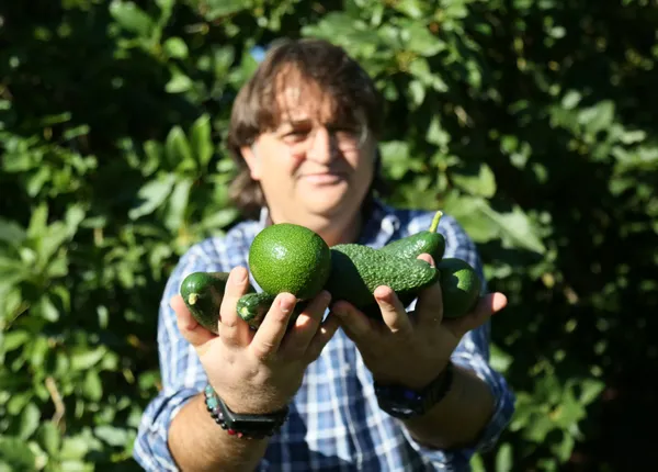 tanesi-15-tlye-kadar-satiliyor-turkiyede-avokado-uretimi-8-bin-tona-cikti-1638869766460.jpg Tanesi 15 TL'ye kadar satılıyor! Türkiye'de avokado üretimi 8 bin tona çıktı-2