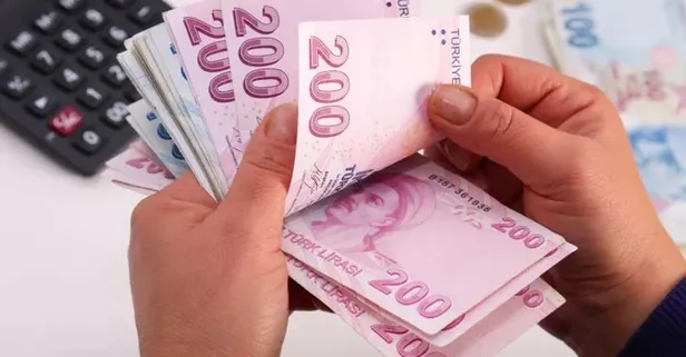 E-devlet üzerinden başvuru yapana 15 dakikada 10.000 TL nakit para! Ödemeler son sürat başladı! Acele edin...