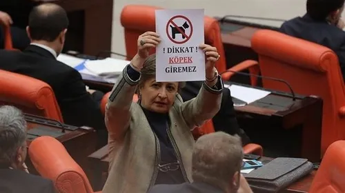 Meclis'te 'dikkat köpek giremez' afişi-1