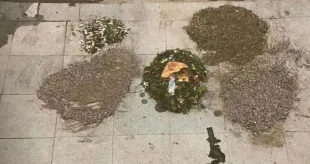 İstiklal Caddesi'ndeki kanlı saldırıyı düzenleyen terörist Albashır'ın sosyal medya hesabı deşifre oldu! 8 şüpheli daha gözaltına alındı-4