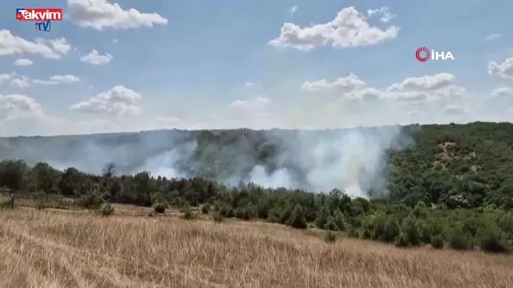 Tekirdağ'da orman yangını!