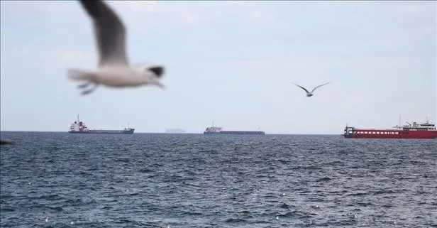 Marmara Denizi’nde ulaşıma lodos engeli