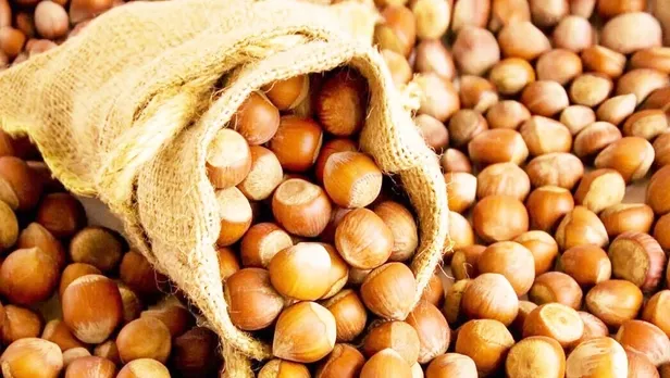 50 randıman Samsun, Giresun, Trabzon,Sakarya fındık fiyatları! Serbest piyasa fındık fiyatları açıklandı-6