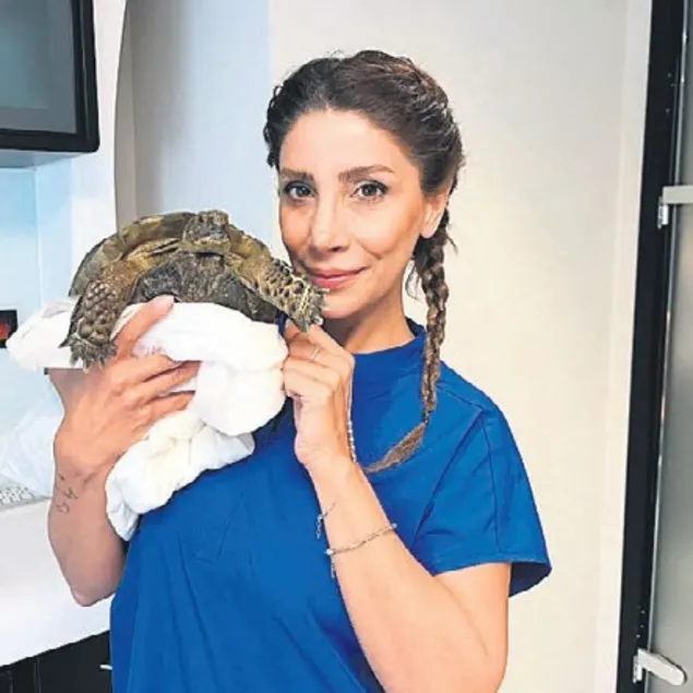 Kaplumbağa için yapay kabuk