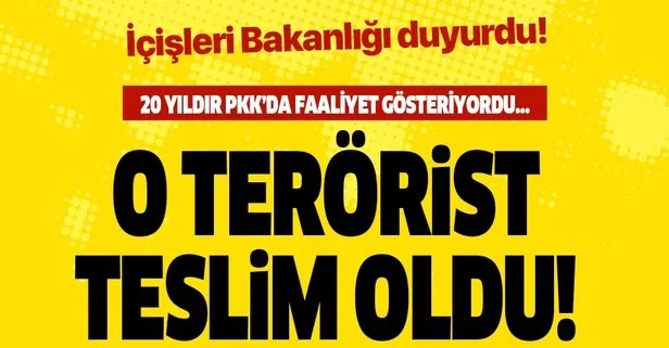 Son dakika: İçişleri Bakanlığı: 20 yıldır PKK’da faaliyet gösteren terörist ikna yoluyla teslim oldu