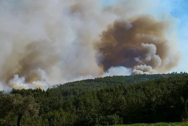 Son Dakika Izmir De Menderes Te Korkutan Orman Yangini Takvim