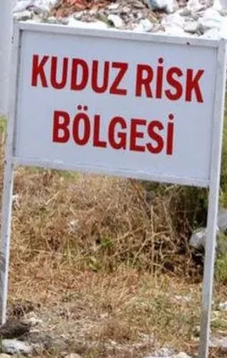 Denizli'de 5 mahallede kuduz karantinası